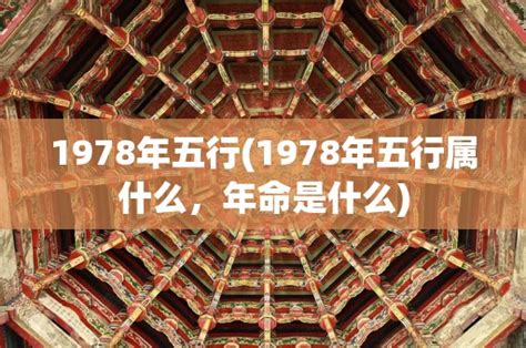 1978 年五行属什么